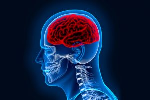 Best Neurologist In Miyapur, Hyderabad